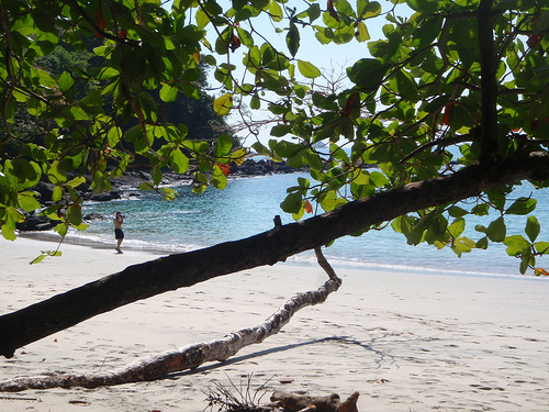 Manuel Antonio Beach Manuel Antonio beach view